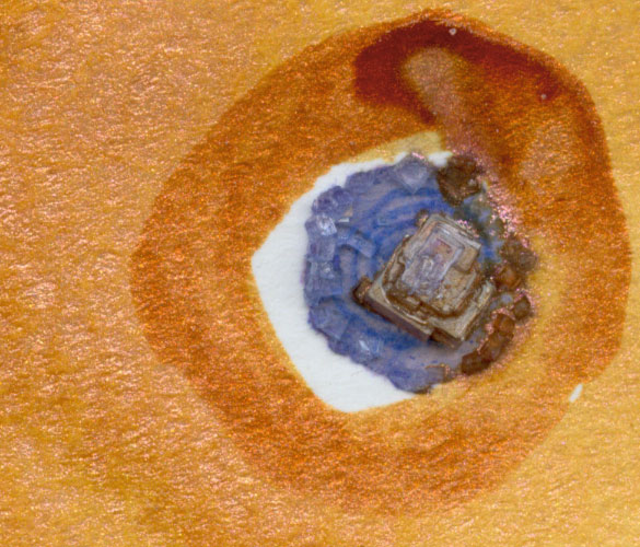 Copper Blue, detail 1, by Amy Crook Copper Blue, detail 1, by Amy Crook