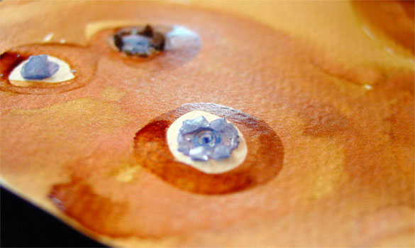 Copper Blue, detail 2, by Amy Crook Copper Blue, detail 2, by Amy Crook