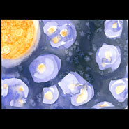 Violet Midnight 2
