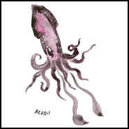 Opera Squid