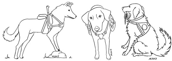 3 service dogs for a coloring book