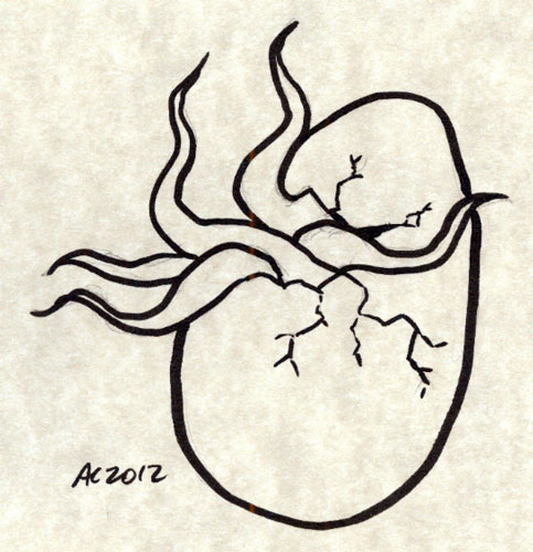 Hatchling sketch by Amy Crook