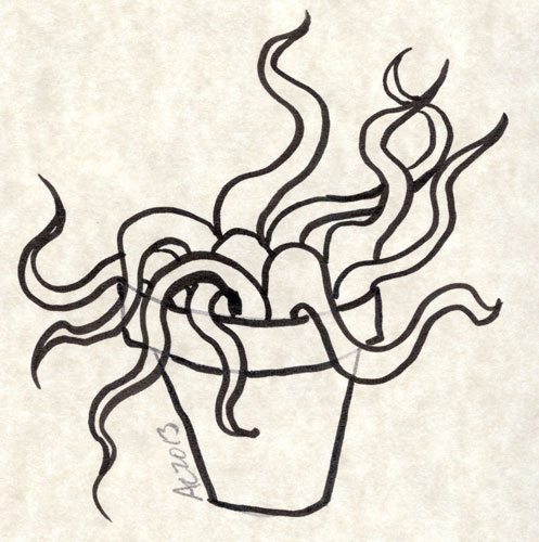 another tentacley houseplant