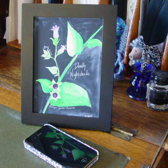 Deadly Nightshade, framed art by Amy Crook