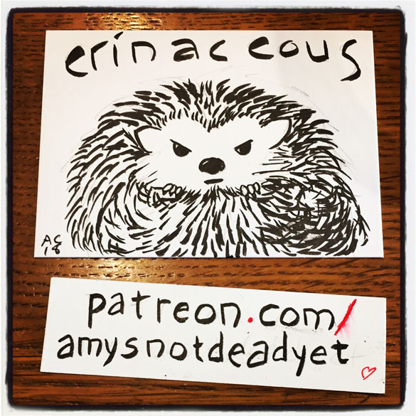 brush pen drawing of a grumpy hedgehog with the word erinaceous above