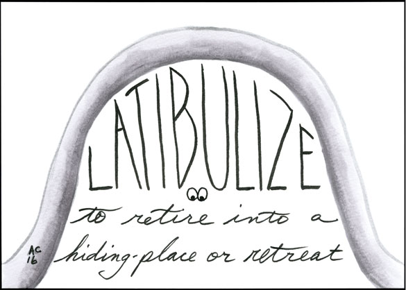 Latibulize, word art by Amy Crook