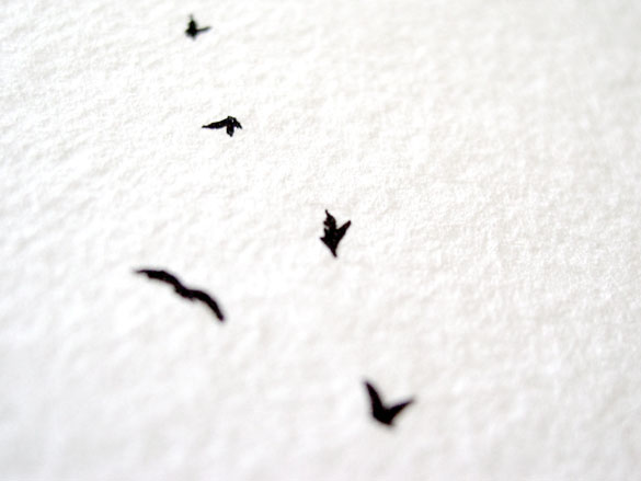 Nine Crows, detail, by Amy Crook