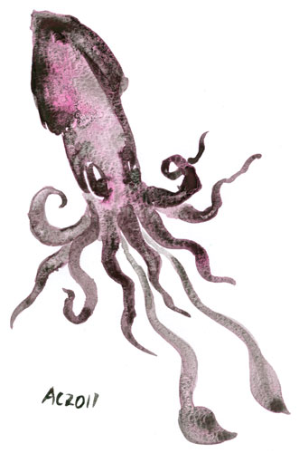 Opera Squid, watercolor sketch by Amy Crook