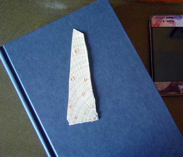 Salt Bookmark 5, with book, by Amy Crook
