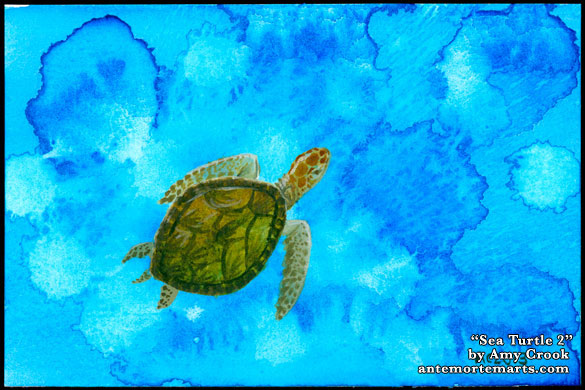 Sea Turtle 2 by Amy Crook