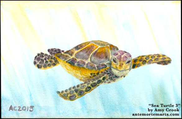 Sea Turtle 3 by Amy Crook
