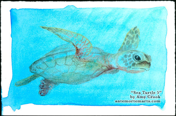 Sea Turtle 5 by Amy Crook