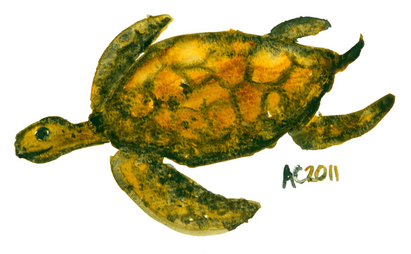 Squamous Turtle, watercolor by Amy Crook