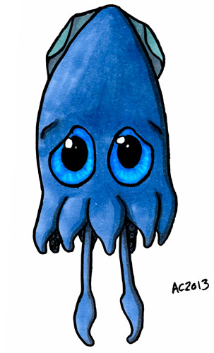 Sad and Sorry Squid cartoon by Amy Crook