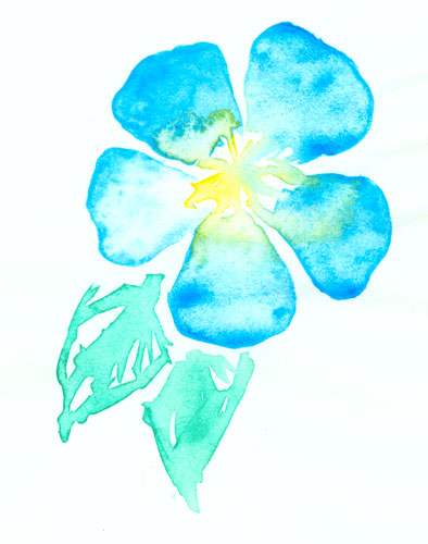 Blue Flower watercolor sketch by Amy Crook